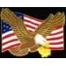 USA FLAG UNITED STATES FLAG W EAGLE FLYING PIN